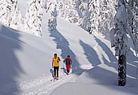 Winterurlaub im Bayerischen Wald, Bayern